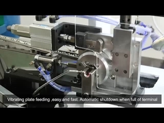 Macchina di piegatura automatica dei semi